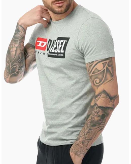 DIESEL Gray T Diego Cuty T Shirt Crew Neck Short Sleeve Maglietta Duel Logo Tee for men
