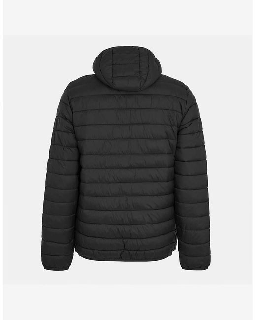 Aquascutum Black Puffer Jacket for men