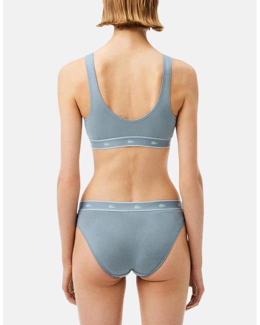 Lacoste Blue Essential Stretch Cotton Triangle Bralette