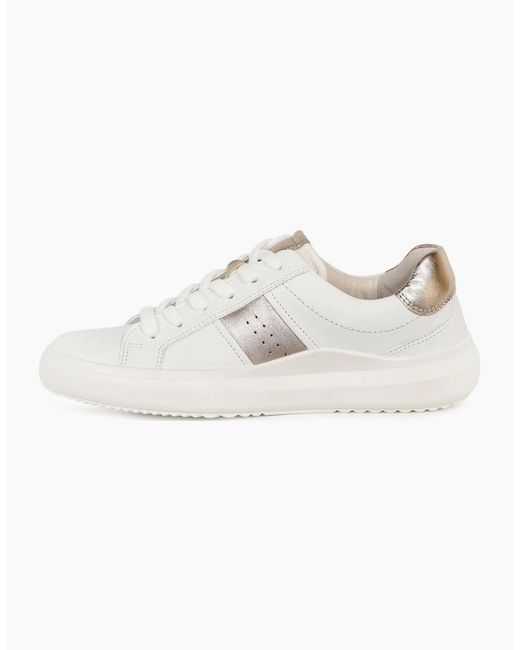 Gabor Natural Jade Trainer