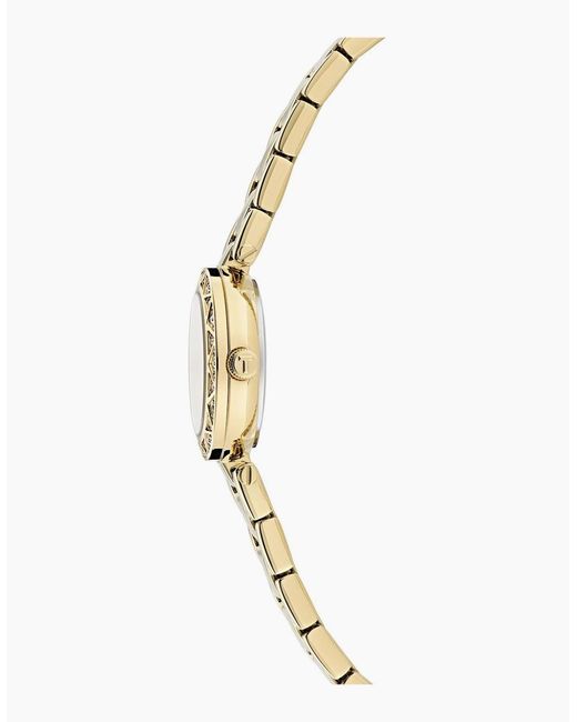Ted Baker Metallic Jolyye Watch for men