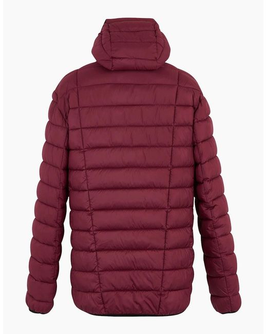 Regatta Red Asper Padded Jacket for men