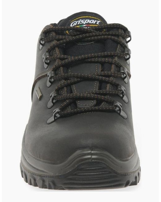 Grisport Black Dartmoor Walking Shoes for men
