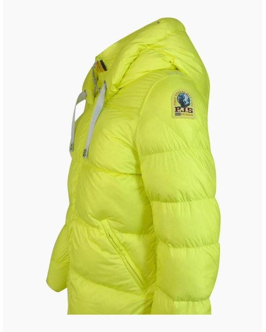 Parajumpers Green Panda Charlock Jacket