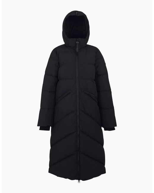 Regatta Blue Ladies Ujeane Padded Jacket