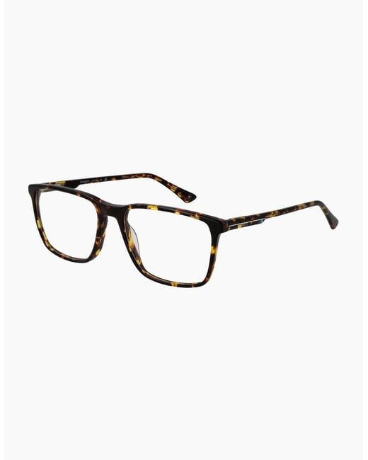 Hackett Brown Optical Frame Hek1326 188 55 for men