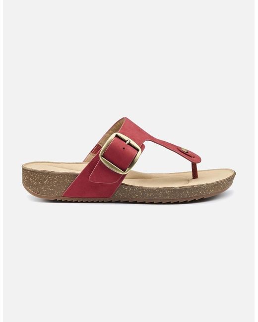 Hotter Pink Resort Toe Post Sandals