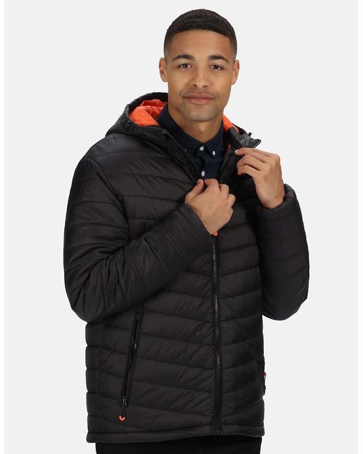 Regatta Black Thermogen P'Cell Warmloft Jacket for men