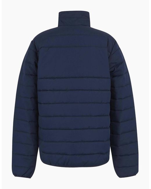 Regatta Blue Professional Thermal Jacket for men