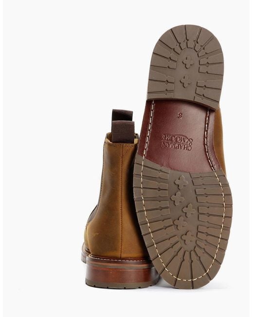 Chapman & Moore Brown Country Chelsea Leather Choco Boots for men