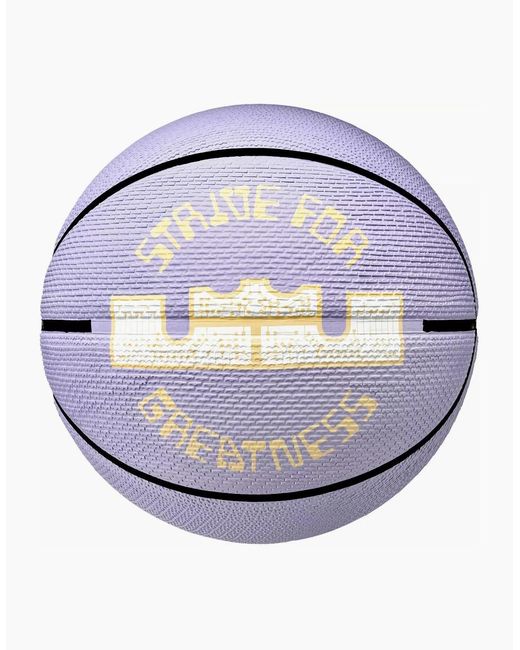 Nike Blue Lebron James Playground 2.0 Basketball