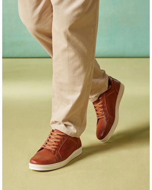 Hush Puppies Brown Madden Trainers for men