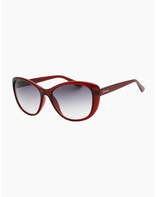 Calvin Klein Multicolor Milky Burgundy Framed Gradient Lensed Sunglasses