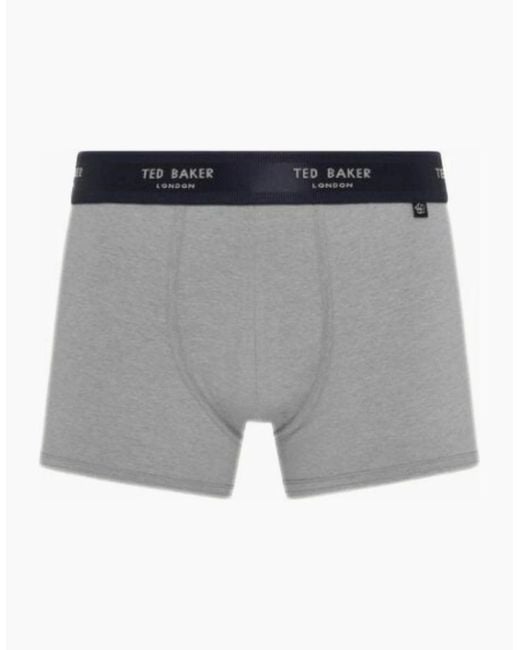 Ted Baker Gray 3-Pack Coloured Boxer Trunks for men