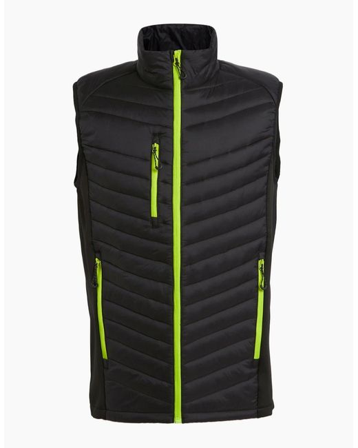 Regatta Black Professional Quilted Hybrid Gilet for men