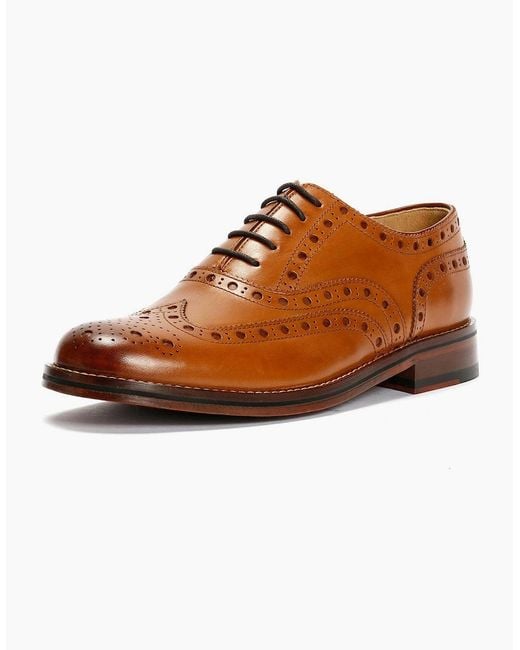 Chapman & Moore Brown Oxford Brogue Leather Tan Burnish Shoes for men