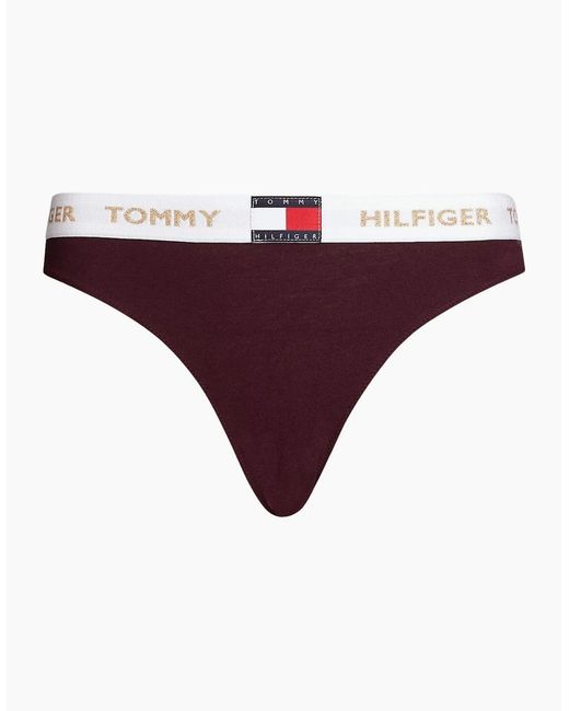 Tommy Hilfiger Purple Golden Heritage Bikini Brief, Burgundy