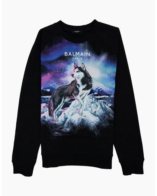 Balmain Blue Lone Wolf Sweatshirt for men
