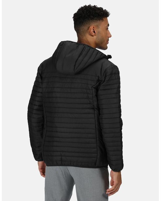 Regatta Black Professional Padded Jacket for men