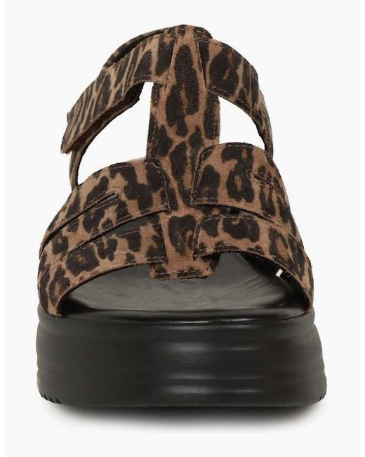 Gabor Black Abel Sandals