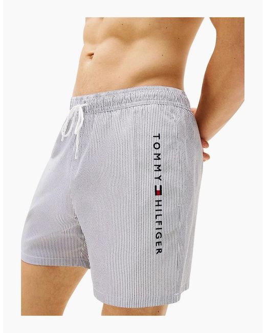 Tommy Hilfiger Gray Original Stripe Mid Length Swim Shorts, Ithaca/Desert Sky for men
