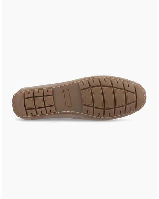Hush Puppies Gray Ralph Suede Leather Taupe Loafers for men