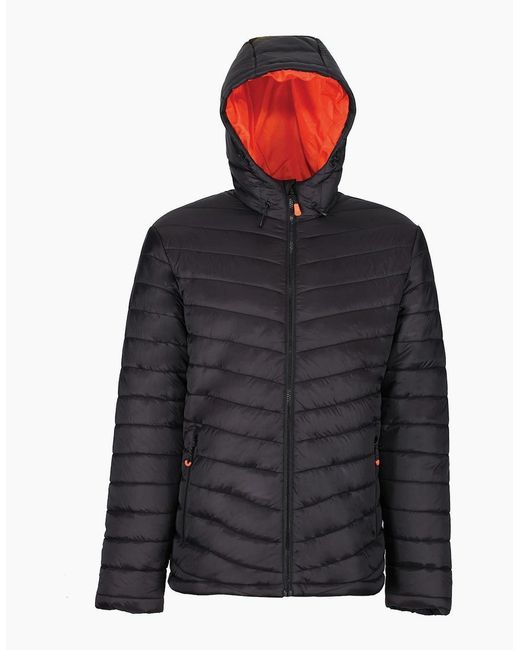 Regatta Black Thermogen P'Cell Warmloft Jacket for men