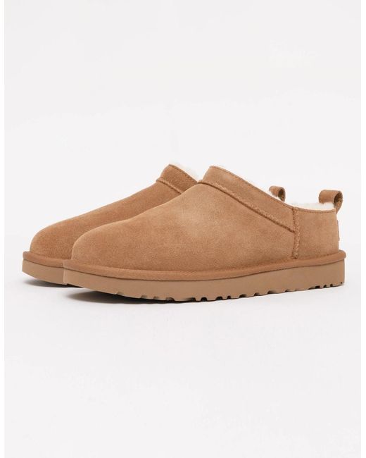 Ugg Brown Classic Micro Boots
