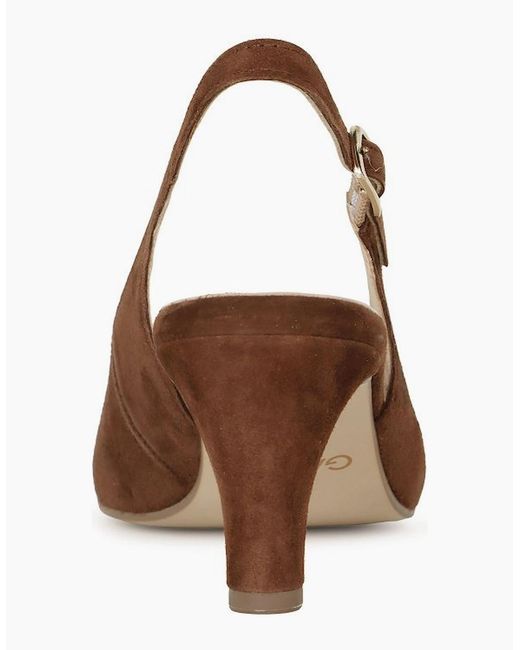 Gabor Brown Lazona Court Shoes