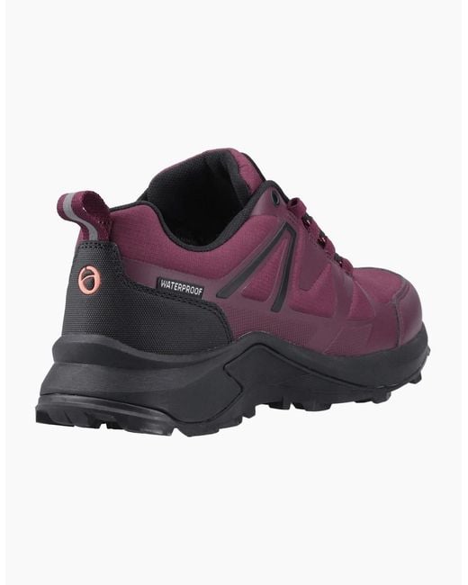 Cotswold Purple Horton Low Textile Burgundy Hiking Shoes