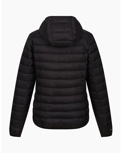 Regatta Black Ladies Marizion Hooded Padded Jacket