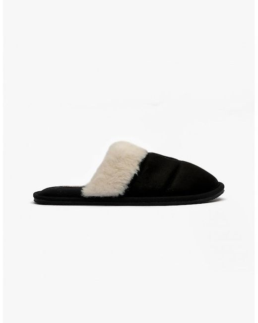Polo Ralph Lauren Black Kelcie Mule Slippers