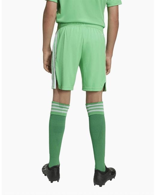 Adidas Green Afc 3 Gk Sho Jn99