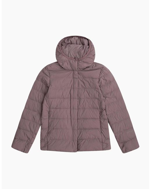 Mountain Warehouse Purple Ladies Lightweight Packable Jacket
