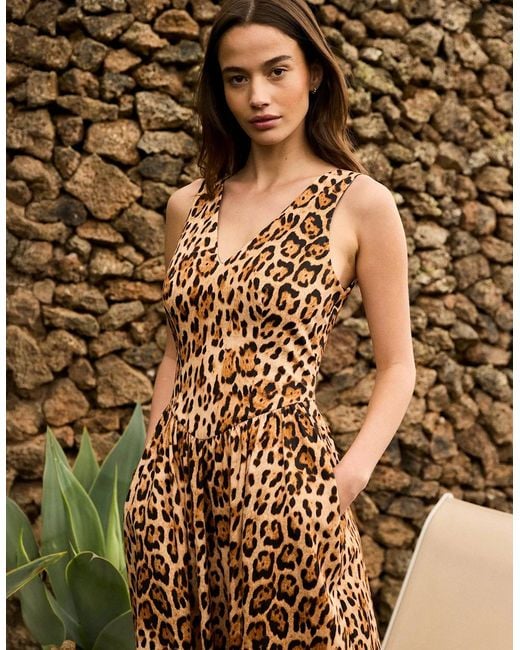 Ro&zo White Petite Alexis Leopard Print Cotton Sateen Dress