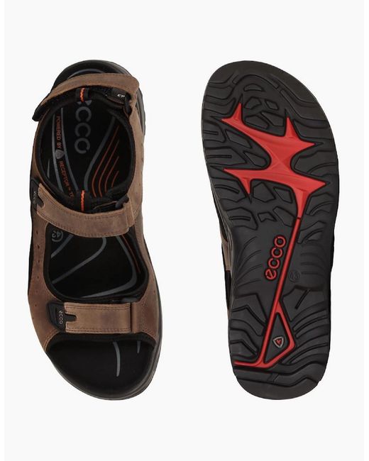Ecco Black Trail Casual Sandals for men