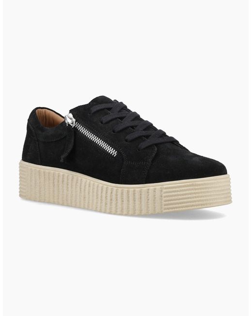 Hush Puppies Black Tara Suede Trainer Casual Trainers