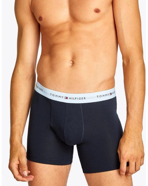 Tommy Hilfiger Blue 3-Pack Signature Cotton Coloured Band Boxer Briefs for men