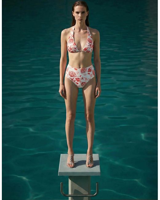 Oceanus Multicolor Josie Bikini Bottom
