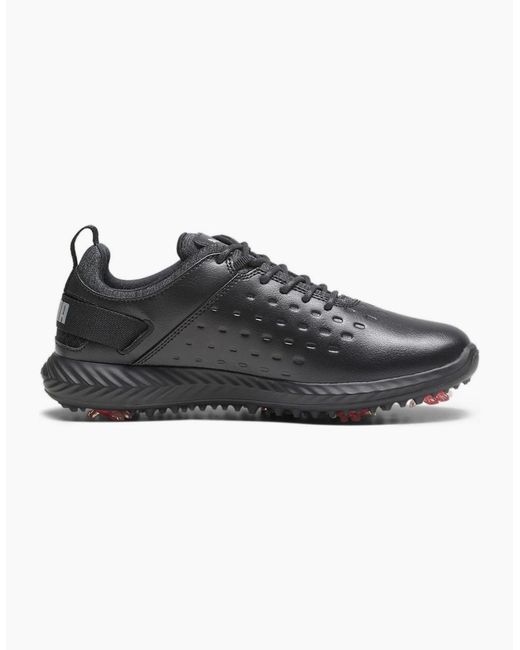 PUMA Black Ignite Blaze Pro Spikeless Golf Shoes