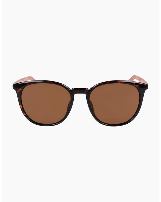 Nike Brown Wayfarer Sunglasses for men