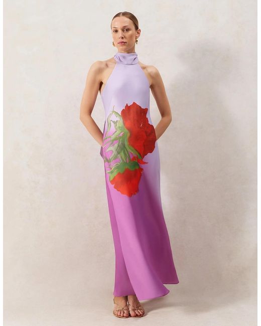 Ro&zo Pink Margot Rose Print Halter Neck Dress