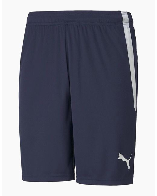 PUMA Blue Teamliga Shorts Football Shorts for men