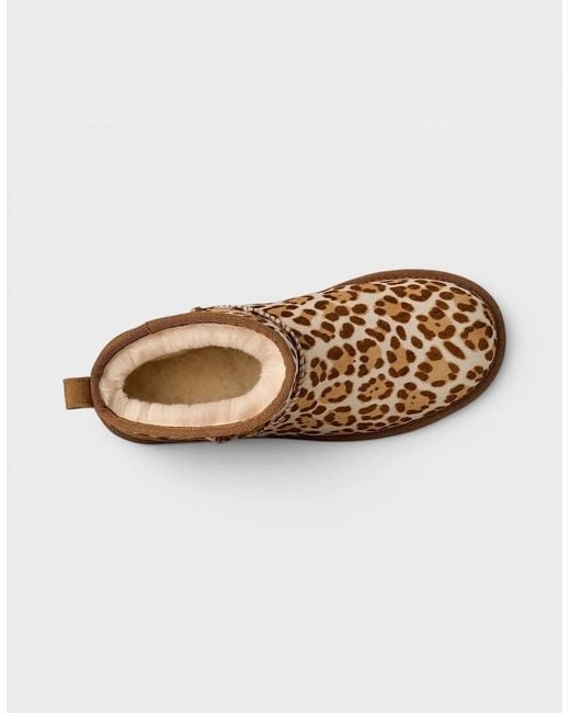 Ugg Brown Classic Ultra Mini Plains Boot Felicity Leopard Jasmine