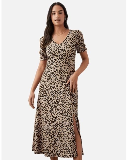 Dorothy Perkins Brown Ladies Leopard Print Short-Sleeved Midi Dress