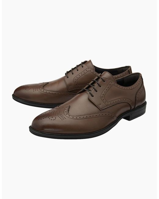Lotus Brown Skipton Brogues for men