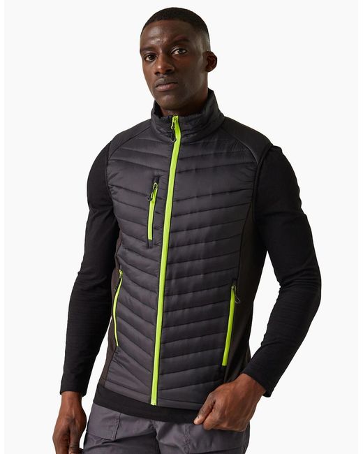 Regatta Black Professional Quilted Hybrid Gilet for men