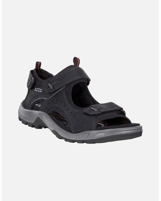 Ecco Black Andes Ii Hiking Sandals for men