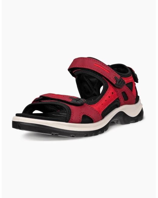 Ecco Red Offroad Nubuck Outdoor Walking Sandals