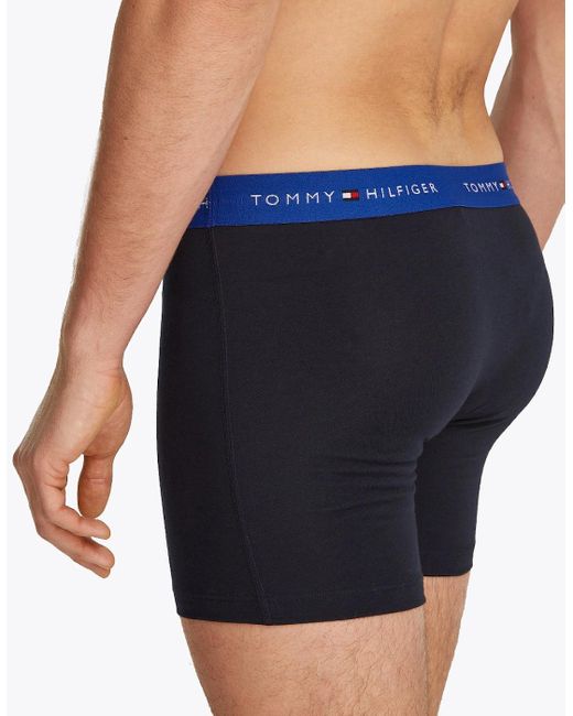 Tommy Hilfiger Blue 3-Pack Signature Cotton Coloured Band Boxer Briefs, /Utility for men